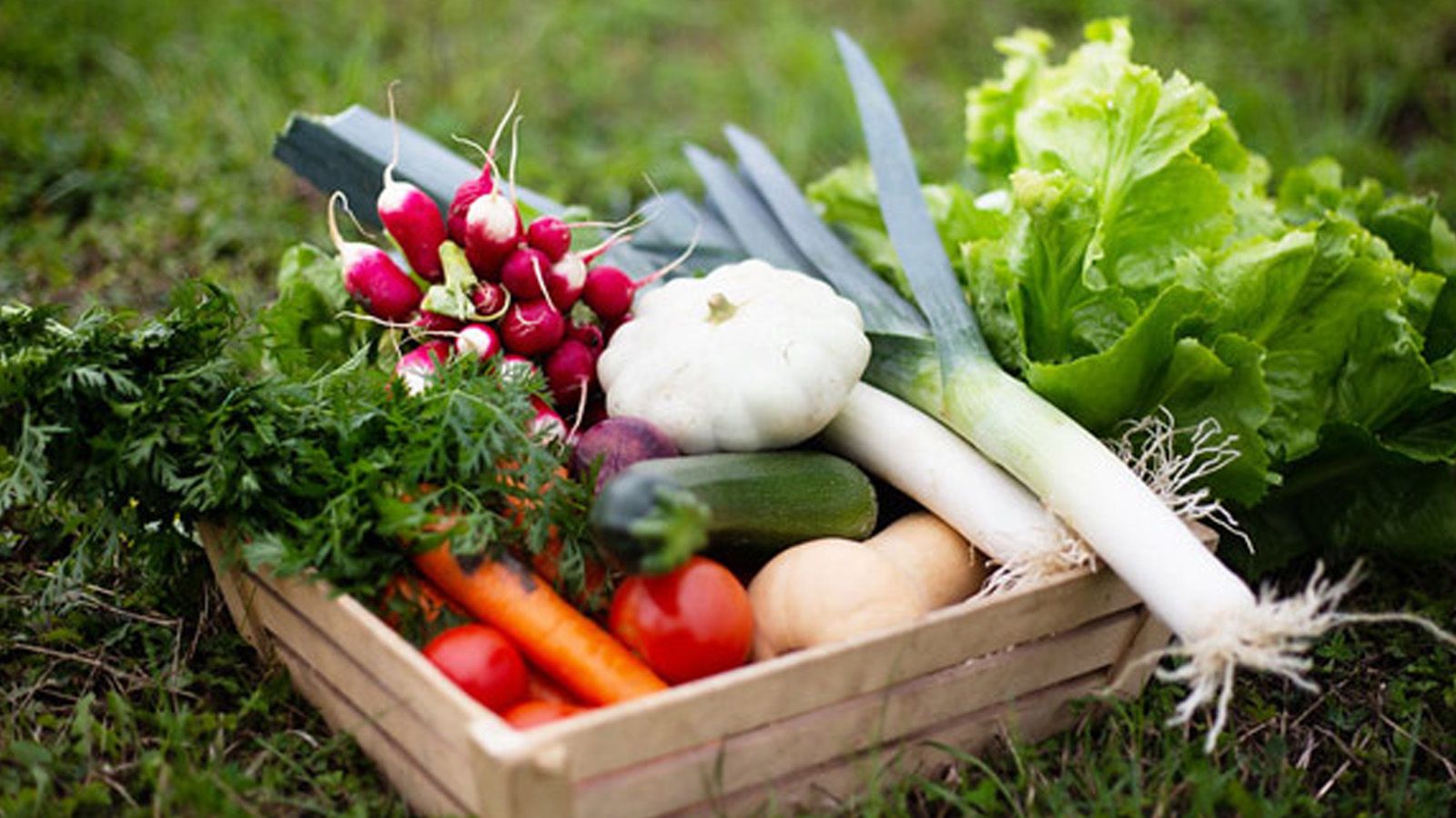 Ingredients Farandole de légumes sur écrasé de pommes de terre et potiron par Philippe Rogé